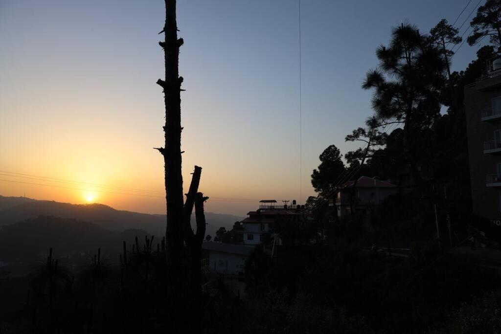 The Cerro Rico - 3 Bhk Modern Villa Kasauli Dış mekan fotoğraf
